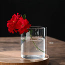DecorBites™ Glass Hydroponic Desktop Planter Vase