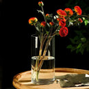 DecorBites™ Glass Hydroponic Desktop Planter Vase
