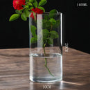 DecorBites™ Glass Hydroponic Desktop Planter Vase