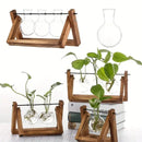Triangular wood and glass planter propagation station for living room