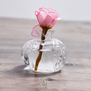 DecorBites™ Glass Pomegranate Flower Vase Home Decor