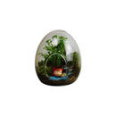 DecorBites™ Glass Succulent Egg-shaped Terrarium
