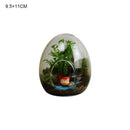 DecorBites™ Glass Succulent Egg-shaped Terrarium