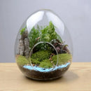 DecorBites™ Glass Succulent Egg-shaped Terrarium