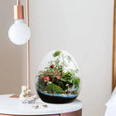 DecorBites™ Glass Succulent Egg-shaped Terrarium