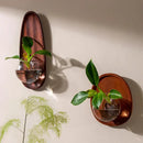 Modern wood and glass vase flowerpot wall decoration living room