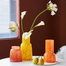 DecorBites™ Glass Vase Hydroponic Terrarium Home Decoration Accessories