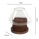 DecorBites™ Glass Vase Terrarium Home Decoration Accessory