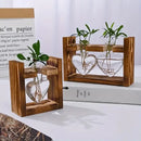 DecorBites™ Glass Vase Terrarium with Wooden Frame