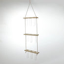 DecorBites™ Glass Wall Hanging Planters with Wooden Holder