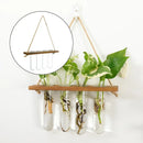 DecorBites™ Glass Wall Hanging Planters with Wooden Holder