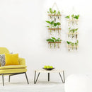DecorBites™ Glass Wall Hanging Planters with Wooden Holder