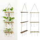 DecorBites™ Glass Wall Hanging Planters with Wooden Holder