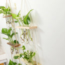 DecorBites™ Glass Wall Hanging Planters with Wooden Holder