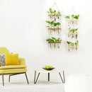 DecorBites™ Glass Wall Hanging Planters with Wooden Holder