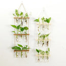 DecorBites™ Glass Wall Hanging Planters with Wooden Holder