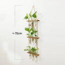 DecorBites™ Glass Wall Hanging Planters with Wooden Holder