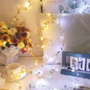 DecorBites™ Golden Silver Leaf Fairy Lights for Events