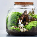 DecorBites™ Green Moss Glass Vase Terrarium Container