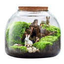 DecorBites™ Green Moss Glass Vase Terrarium Container