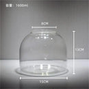 DecorBites™ Green Moss Glass Vase Terrarium Container
