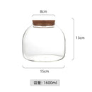 DecorBites™ Green Moss Glass Vase Terrarium Container
