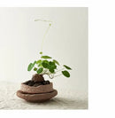 DecorBites™ Handcrafted Ceramic Vase for Flowers