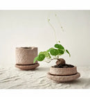 DecorBites™ Handcrafted Ceramic Vase for Flowers