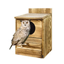 Light Brown Owl House