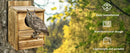 DecorBites™ Handmade Wooden Screech Owl House - Outdoor Nesting Box