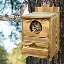 Light Brown Owl House