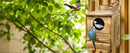 Light Brown Owl House