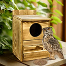 DecorBites™ Handmade Wooden Screech Owl House - Outdoor Nesting Box