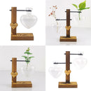 DecorBites™ Heart Shape Hydroponic Glass Vase - Home Decor