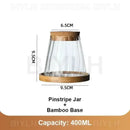 DecorBites™ Hydroponic Glass Flower Pots - Set of 2