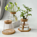 DecorBites™ Hydroponic Glass Flower Pots - Set of 2