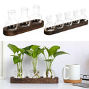 DecorBites™ Hydroponic Glass Vase with Wooden Tray