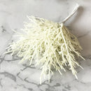 Decorbites ivory flower cherry stamen berries wedding decor living room
