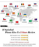 DecorBites™ Japanese Koi Cat Abstract Canvas Wall Art