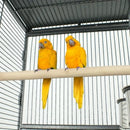 DecorBites™ Large 61" Bird Cage - Non-Toxic Steel, Easy Assembly
