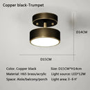 DecorBites™ LED Ceiling Light for Bedroom and Living Room