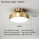 DecorBites™ LED Ceiling Light for Bedroom and Living Room