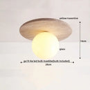 DecorBites™ LED Ceiling Lights Modern Style Balcony Living Room Cave Stone Decor
