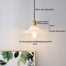 Modern brass and glass decorbites led hanging lamp bedroom light