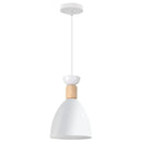 Minimalist white and wood led industrial pendant lamp for living room