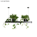 DecorBites™ LED Island Light Fixture: Rectangular Loft Black/White Acrylic Plant Ceiling Pendant - Warm/White Light