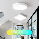 DecorBites™ LED Panel Ceiling Light Modern Kitchen Chandelier Surface Mount Fixture