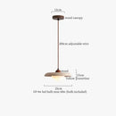 DecorBites™ LED Pendant Lights: Nordic Modern Style for Living Room, Bedroom, Kitchen, Bar.