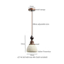 Minimalist bronze and wood led pendant lights bedroom glass lamp