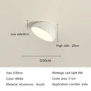 Modern white led semicircular ceiling light bedroom fixture